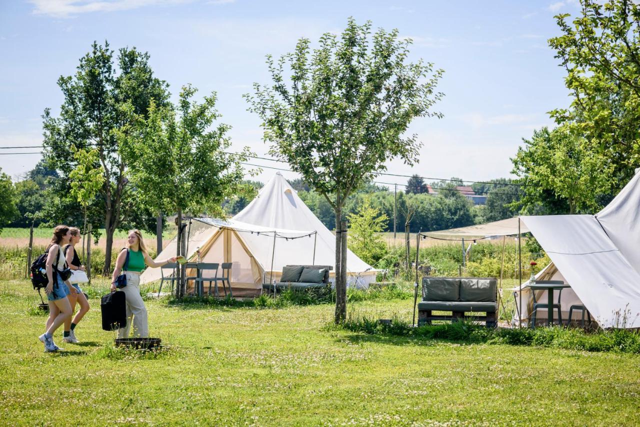 Pluimpapaver Hotel & Glamping Aarschot Bagian luar foto