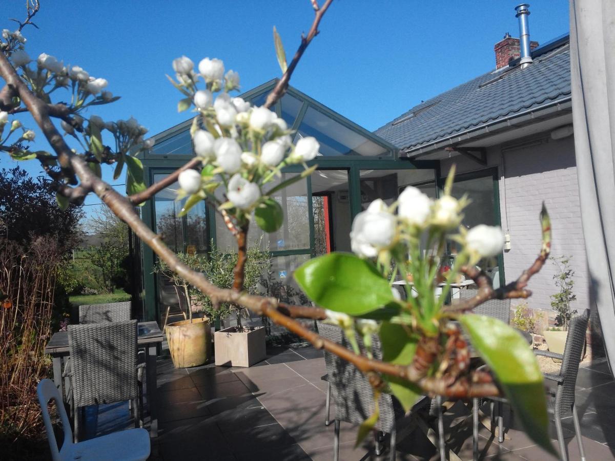 Pluimpapaver Hotel & Glamping Aarschot Bagian luar foto